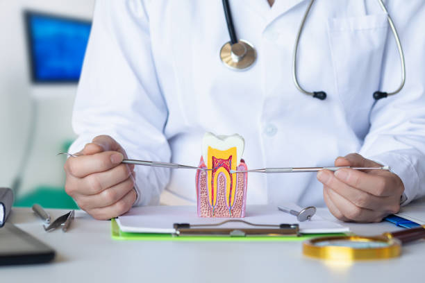 Best Root Canal Emergency Dentist  in Williamston, NC